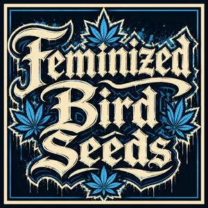 Feminisiert