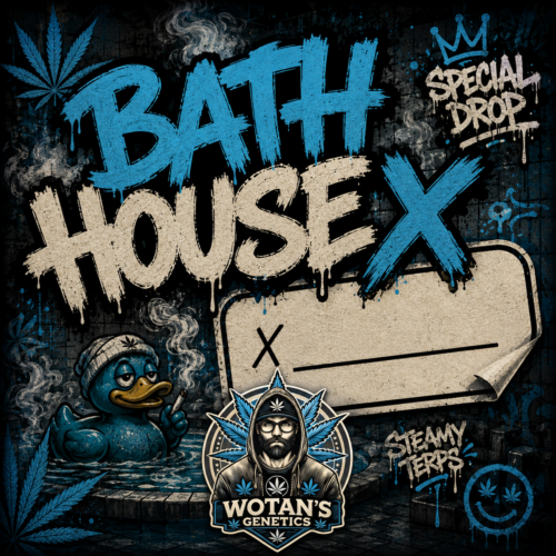 Sour_DieselxBathHouse