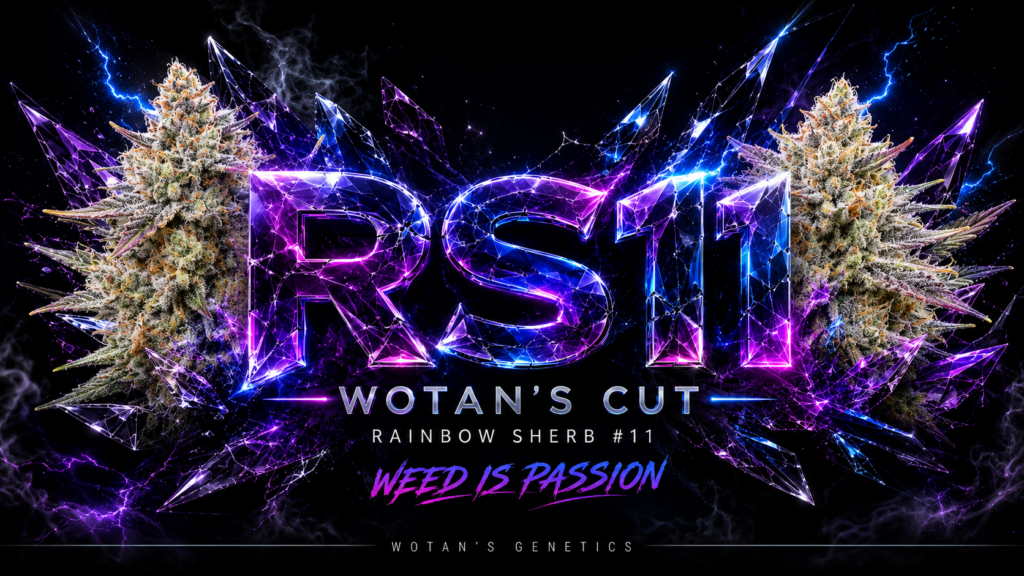 Wotans Genetics RS11 Cut
